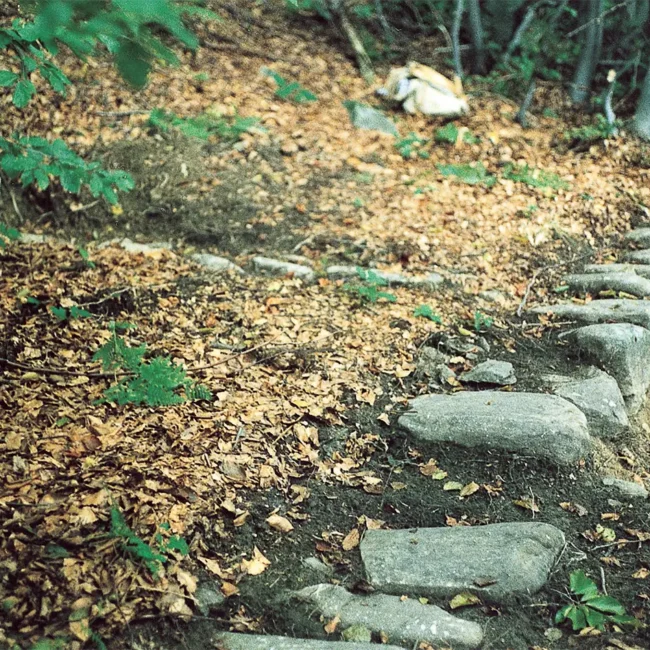 Monte-Poggiaccio-bordo-della-strada