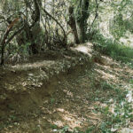 schema del tracciato a Predosa